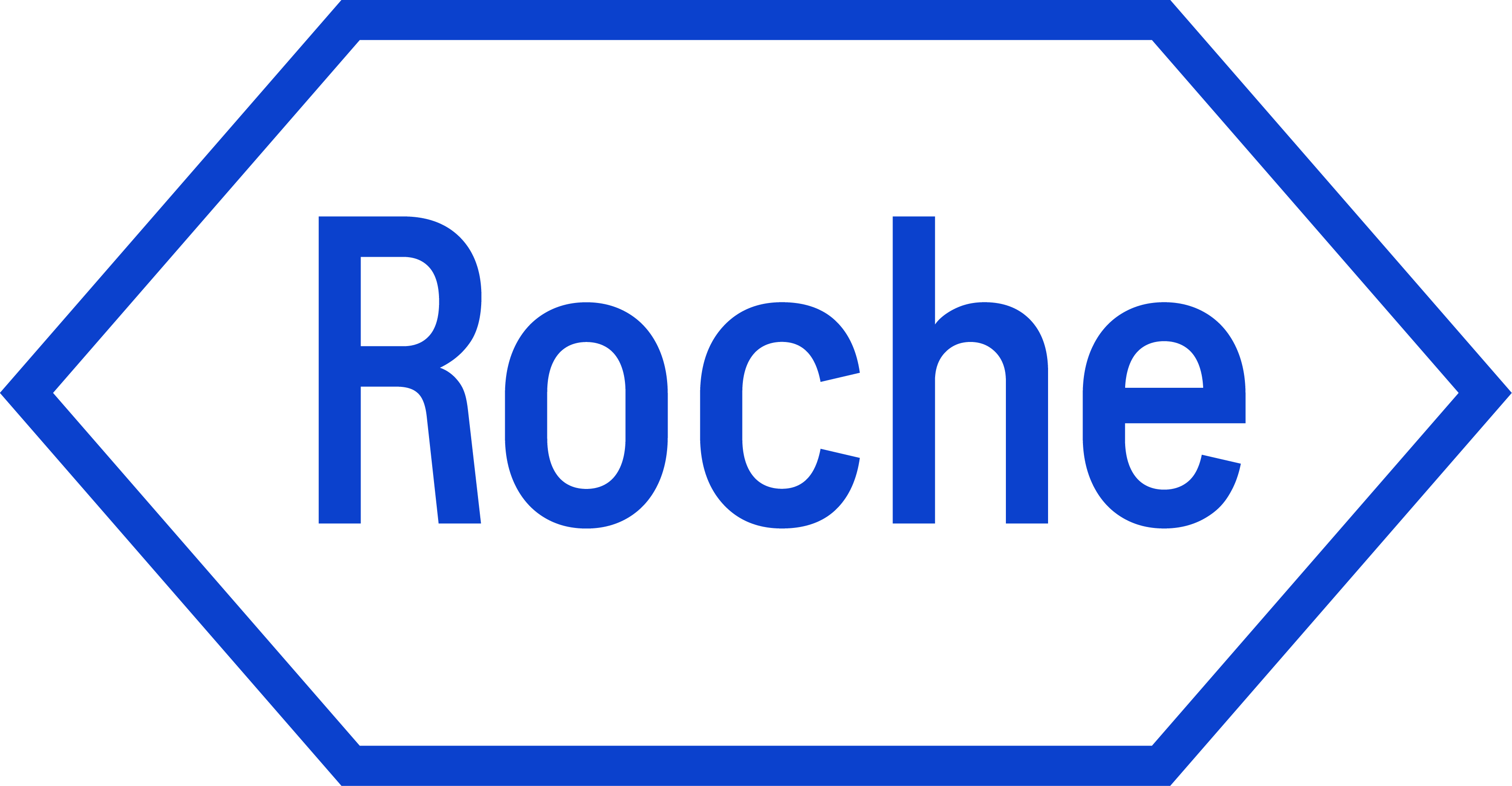 Roche Diagnostics Logo Blue RGB
